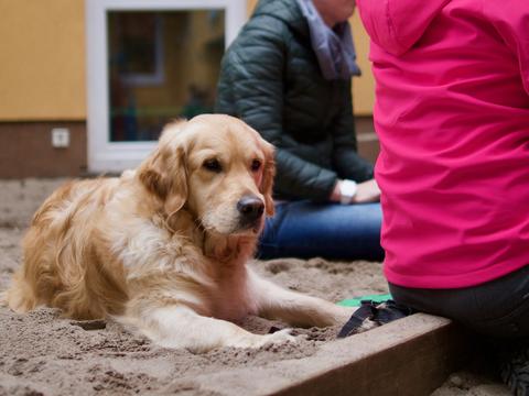 Kalle im Sandkasten