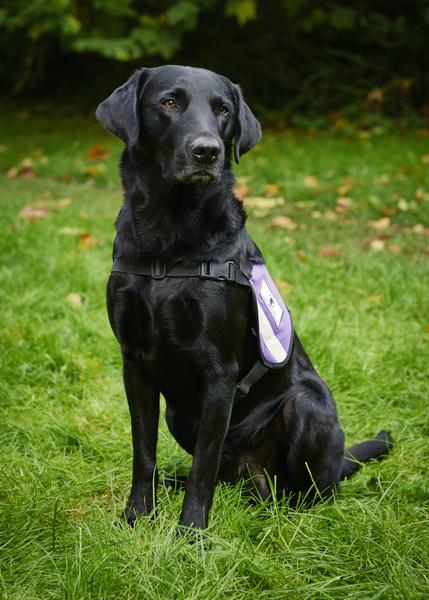 Ergotherapeutin Kristin Schachtner mit Therapiehund Loki