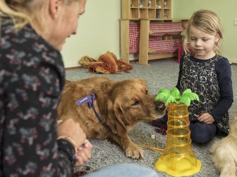 Simba beim Spielen