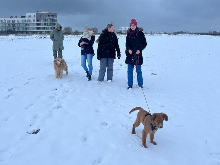 Strandspaziergang im Schnee