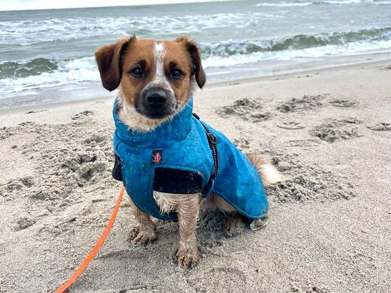 Haribo am Strand