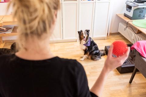 Logopädie zusammen mit unseren Therapie Hunden