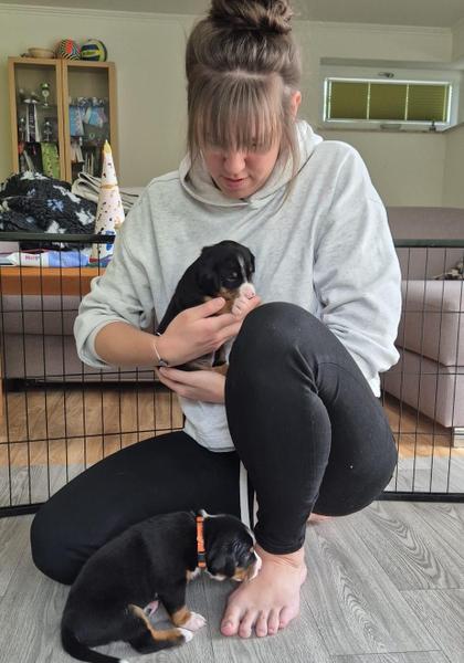 Lulu mit 2 Welpen