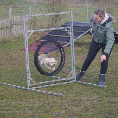 Agility Training