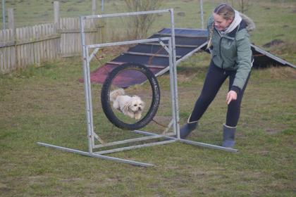 Agility Training